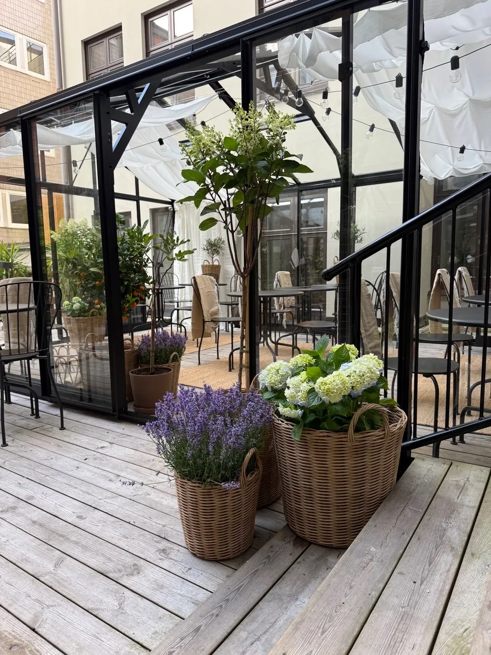 Terrassen & Orangeriet